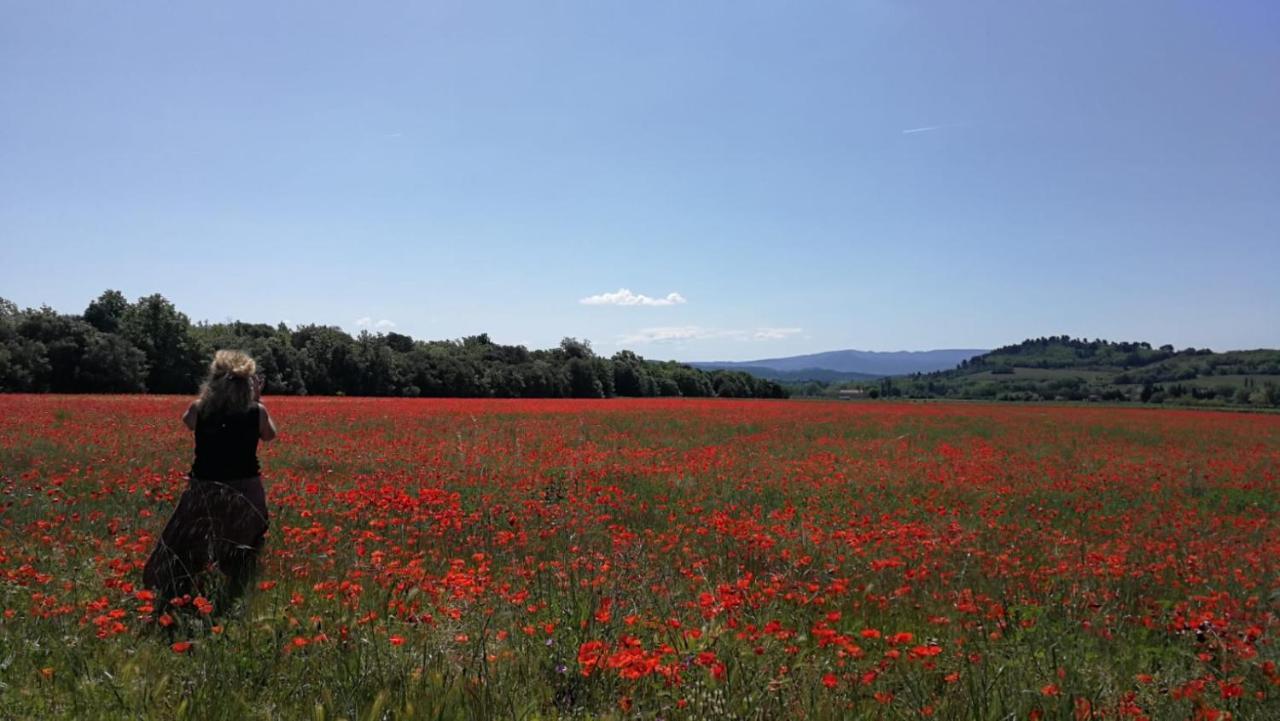 Sous Les Chenes Villa Peypin-d'Aigues Eksteriør bilde