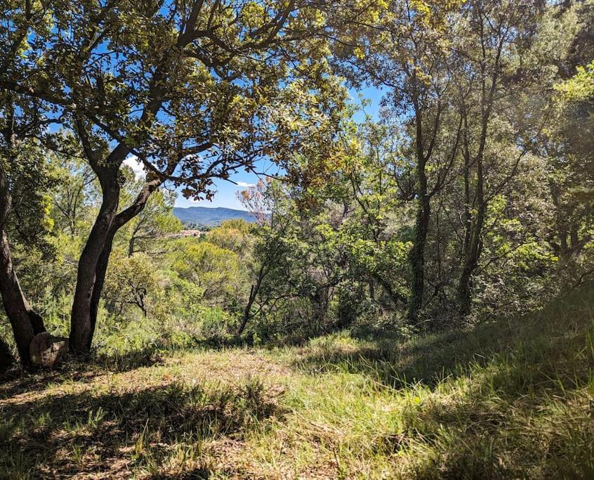 Sous Les Chenes Villa Peypin-d'Aigues Eksteriør bilde